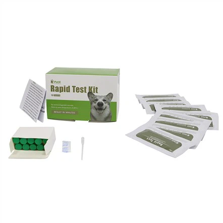 Lyme Hastalığı Tanısı