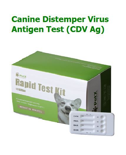 Köpek Distemper Virüsü Antijen Testi