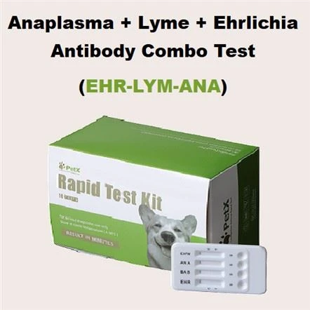 EHR LYM ANA