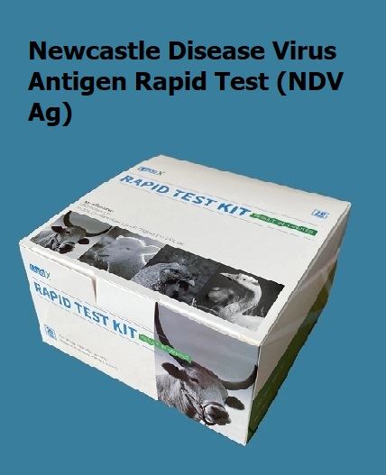 Newcastle Hastalığı Virüsü Antijen Hızlı Testi